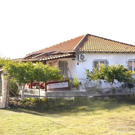 Villa Amarantos Beautiful Garden House Metokhion Patriotikon Esterno foto